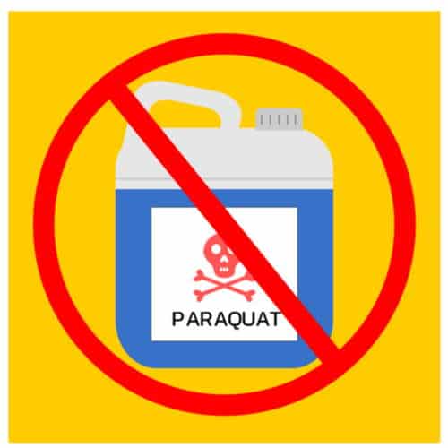 paraquat