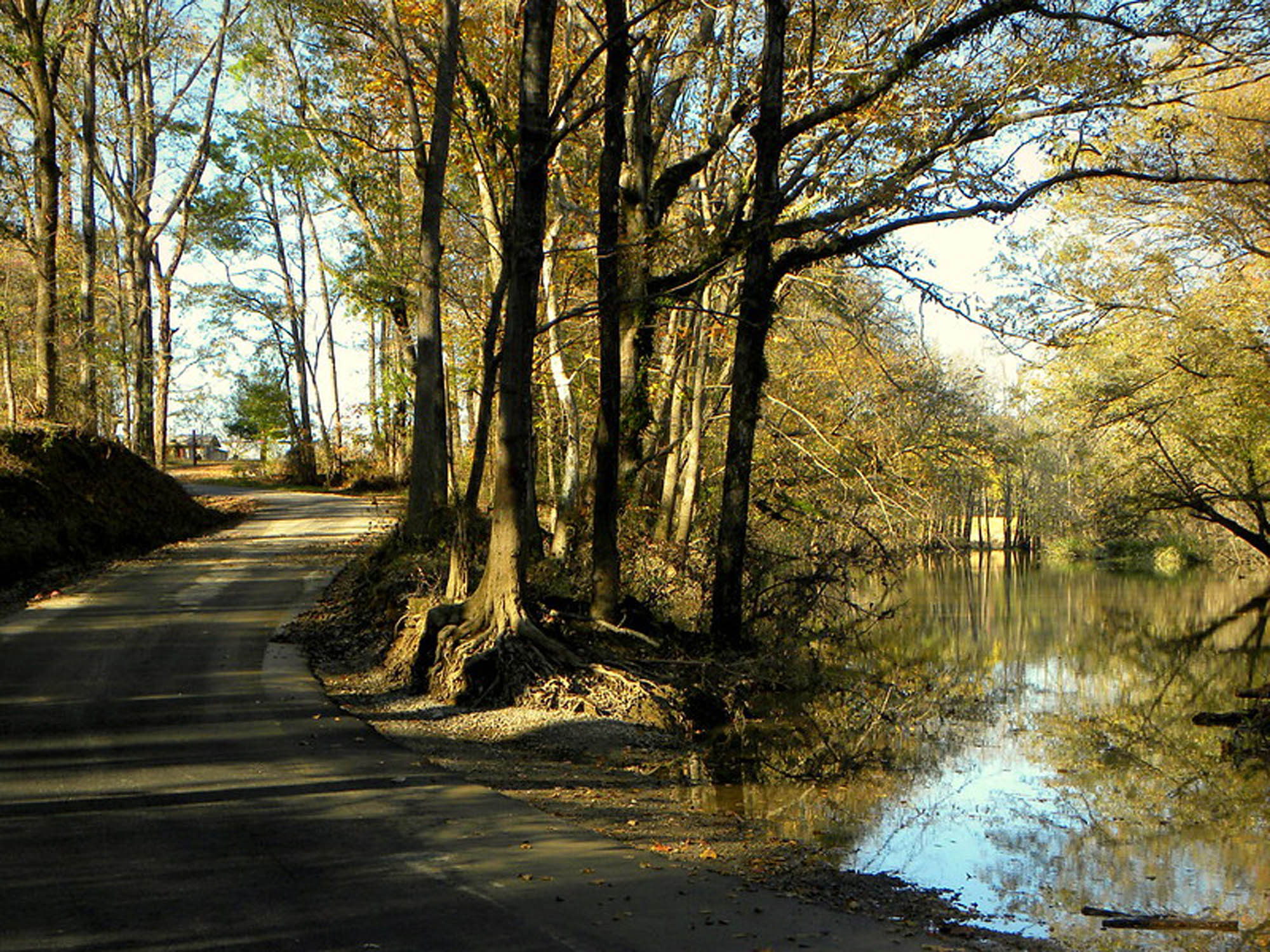 Haskell Motorcycle Accident Lawyer