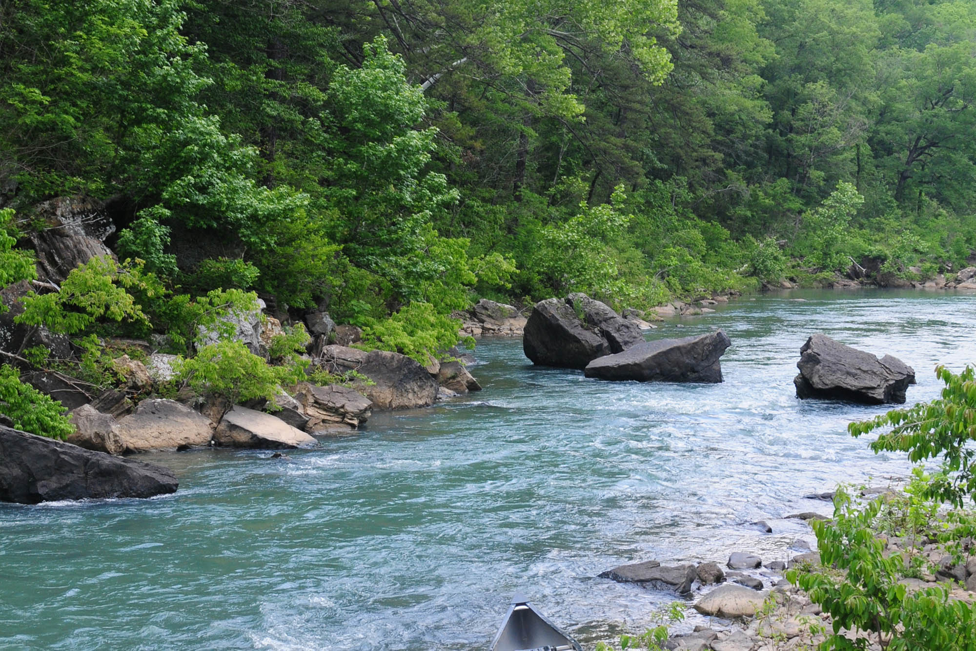 Piney Nursing Home Abuse Attorney